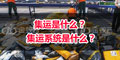 集運(yùn)是什么？ 集運(yùn)系統(tǒng)是什么？