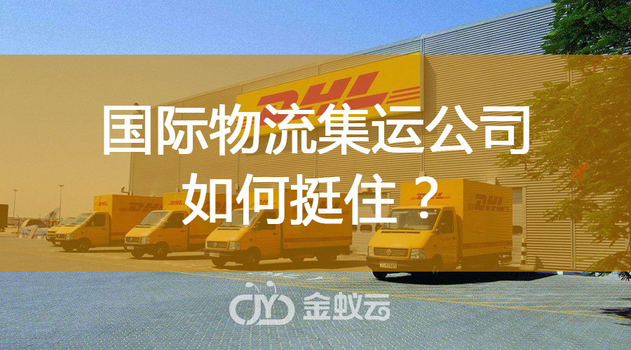國(guó)際物流集運(yùn)公司如何挺住？