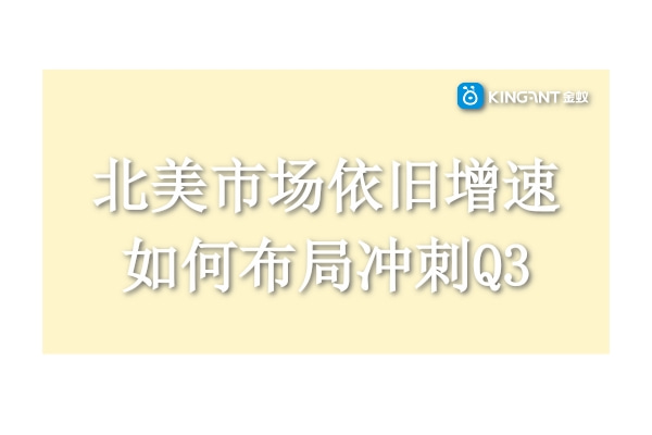 跨境電商：北美市場依舊增速，如何布局沖刺Q3