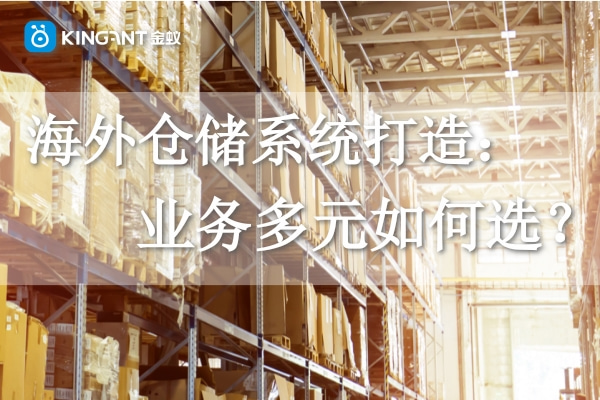 海外倉系統(tǒng)打造：業(yè)務(wù)多元如何選？